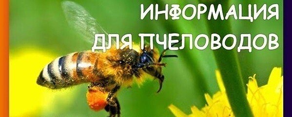 Методические рекомендации для пользователя «Портала пчеловода» 