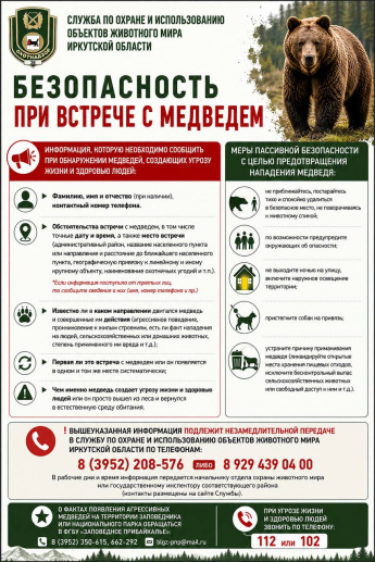 БЕЗОПАСНОСТЬ ПРИ ВСТРЕЧЕ С МЕДВЕДЕМ